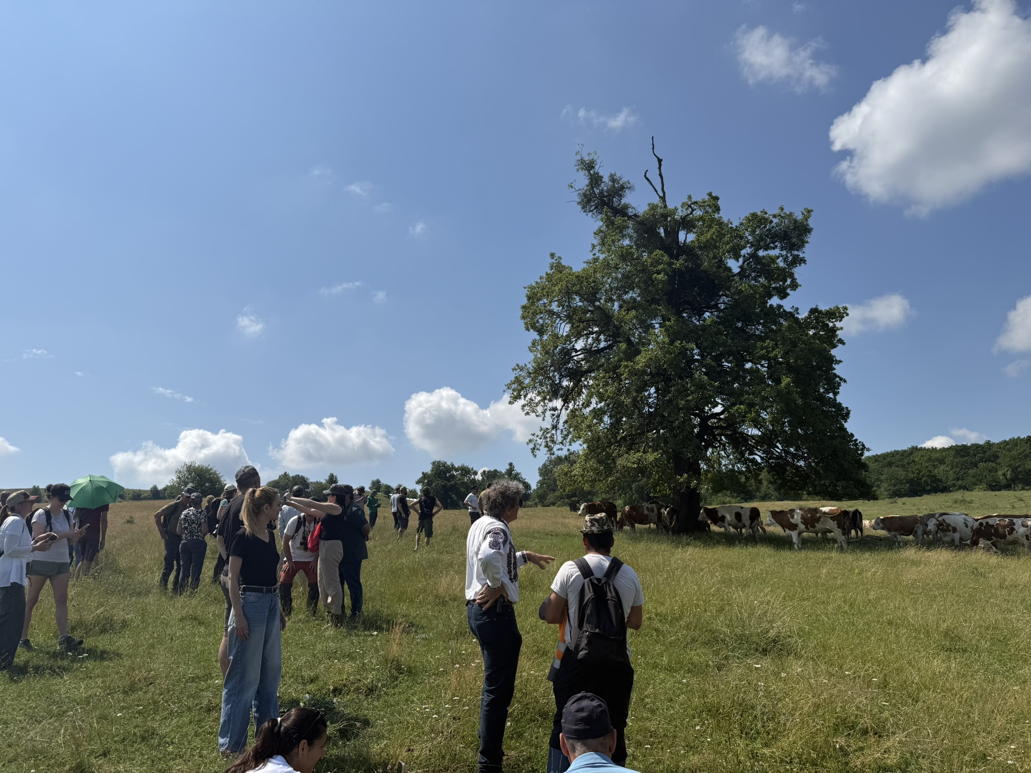 Výmenná návšteva v Rumunsku - Foto 6