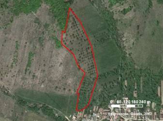 2525_vpravo.jpg